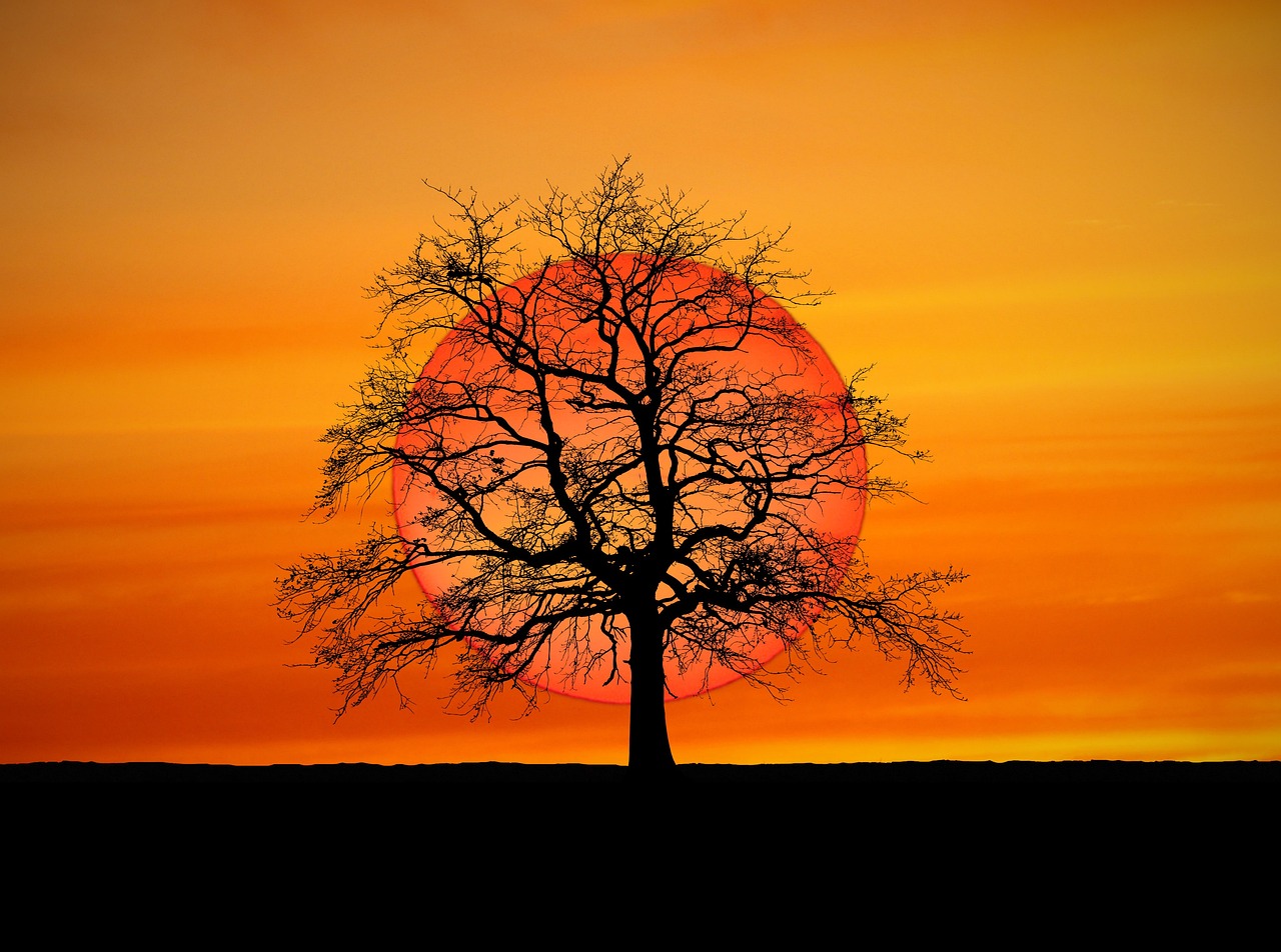 Babam hakkında söylemek istediklerim var